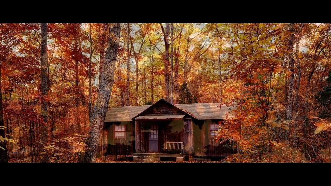 🪕🪕 Fall features in 4k! Autumn Relaxation Smoky Mountain Favorites Bluegrass Classics Playlist 🪕🪕