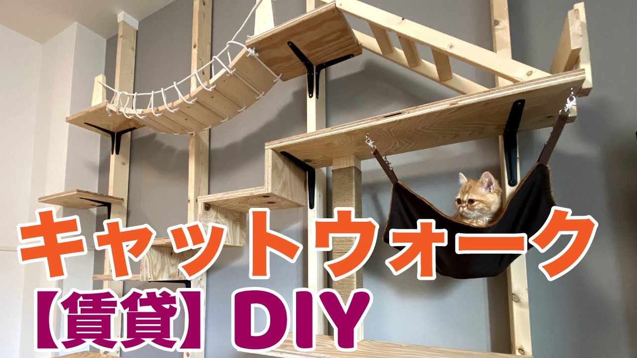 【DIY】賃貸でキャットウォーク作ってみた！  I made a catwalk!!