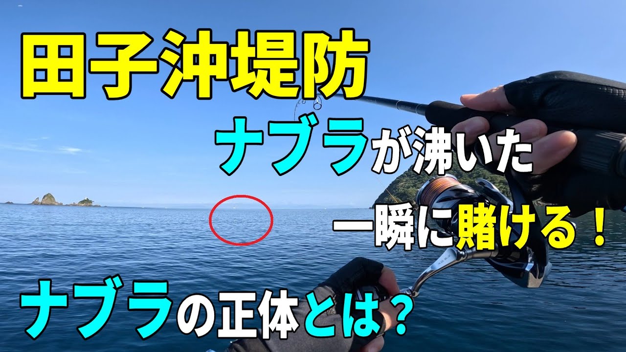 田子沖堤防　「ナブラが沸いた一瞬に賭ける　ナブラの正体とは？」