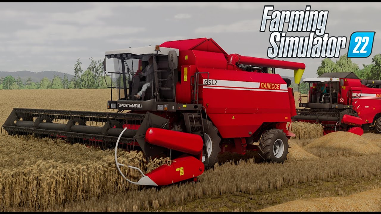 [Уборочная] Уборка зерна в Беларуси 2025 | Farming Simulator 22