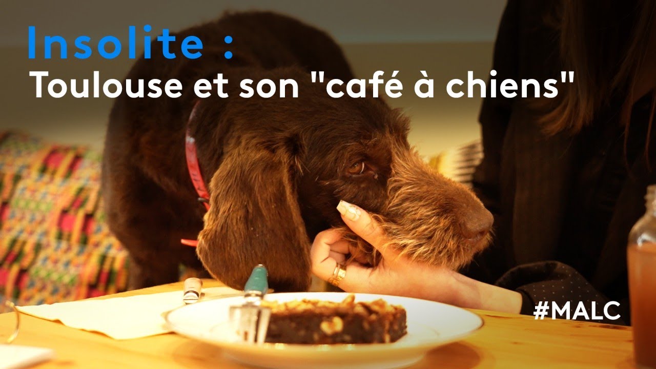 Insolite : Toulouse et son 