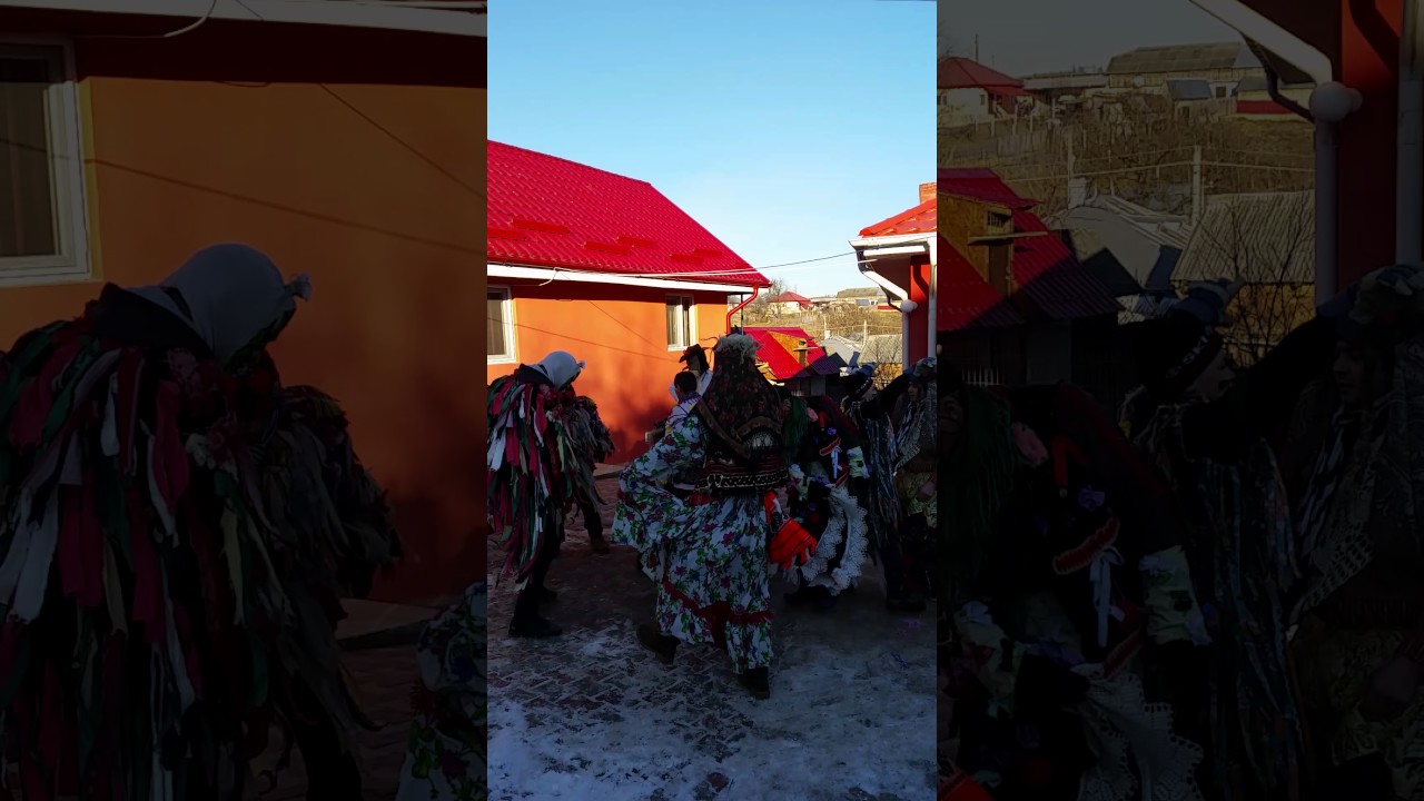Capra de la Strugari 2016-2017