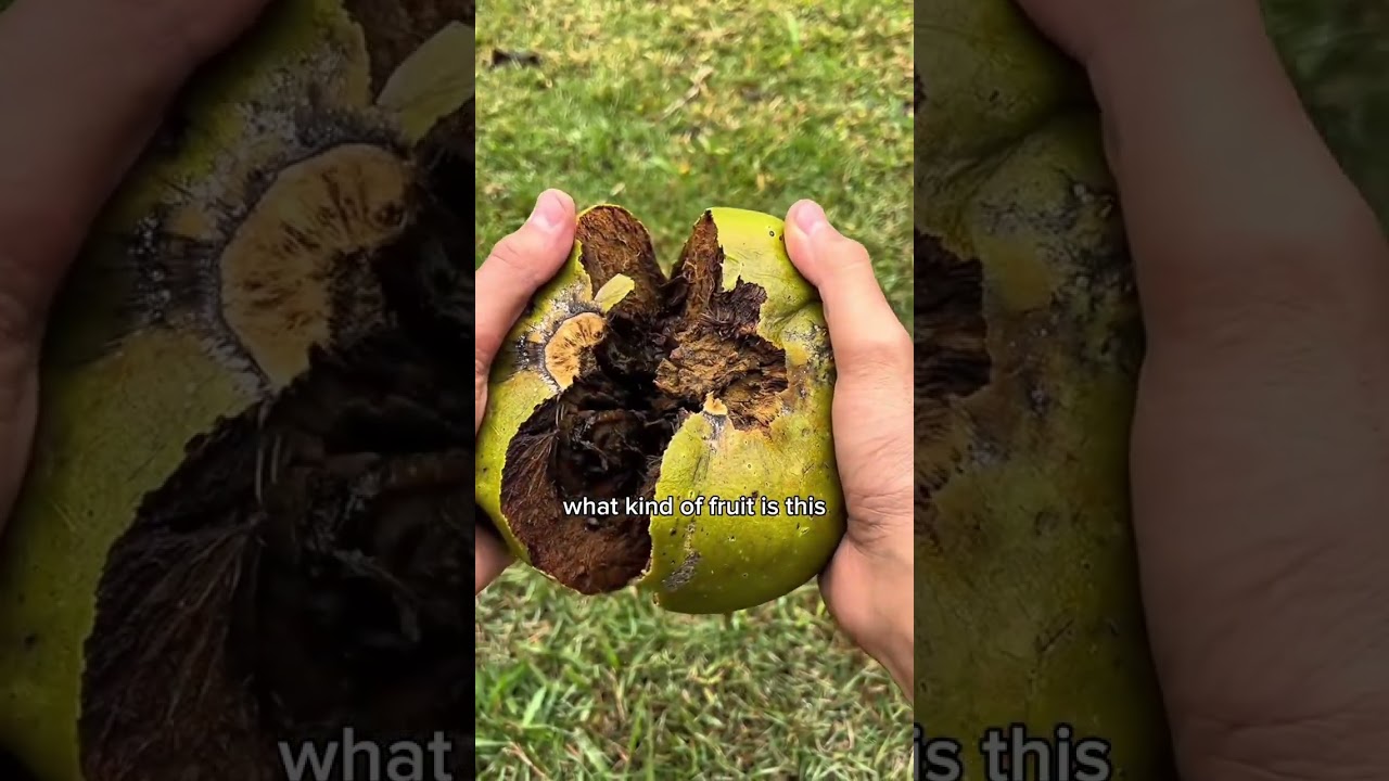 What kind of apple is this 😳 #fyp #fruit #wukong