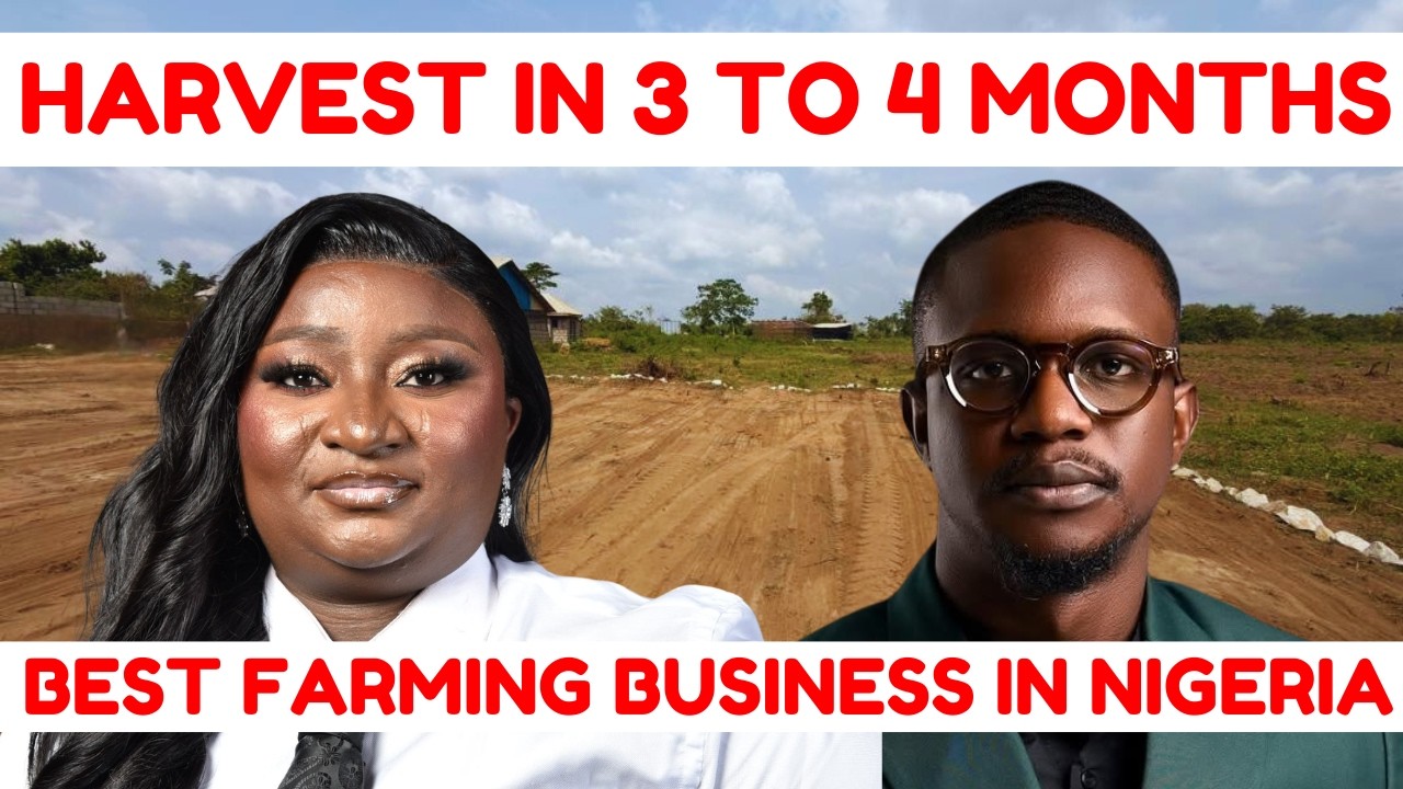 ₦700k Land Deal? See Why Investors Are Rushing Paradiso II. Farmland In Ogun State