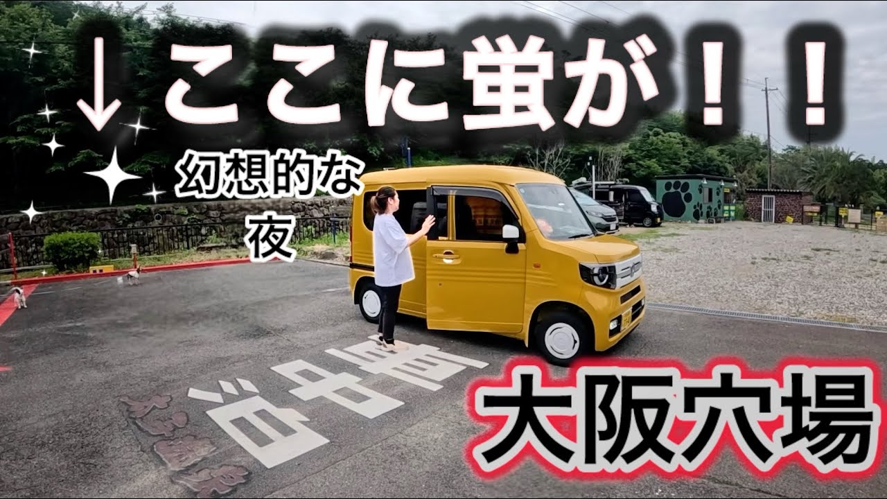 【車中泊×蛍×温泉】大阪の穴場！幻想的なホタルが車の側に！川沿いの車中泊スポット紹介します