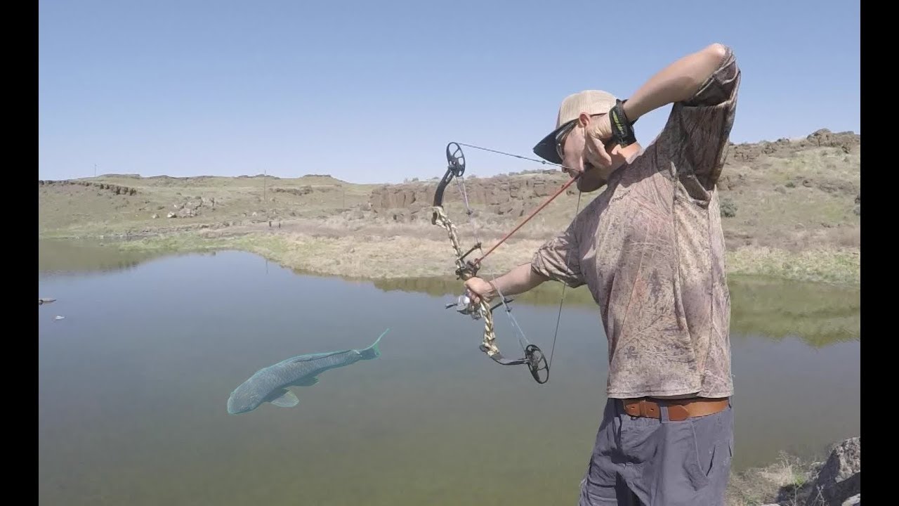 Pesca Con ARCO Y Flecha Parte 2 | Caza Y Pesca