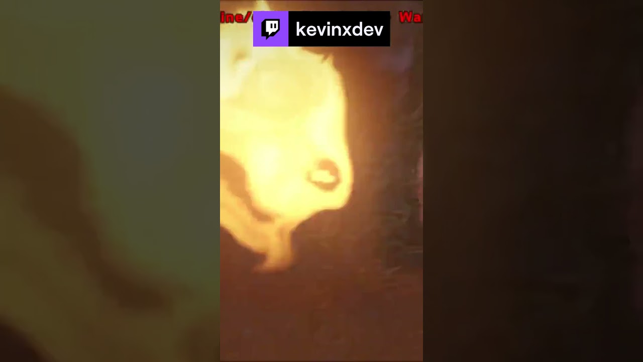 Wandering Loot Boss 😨😨😨