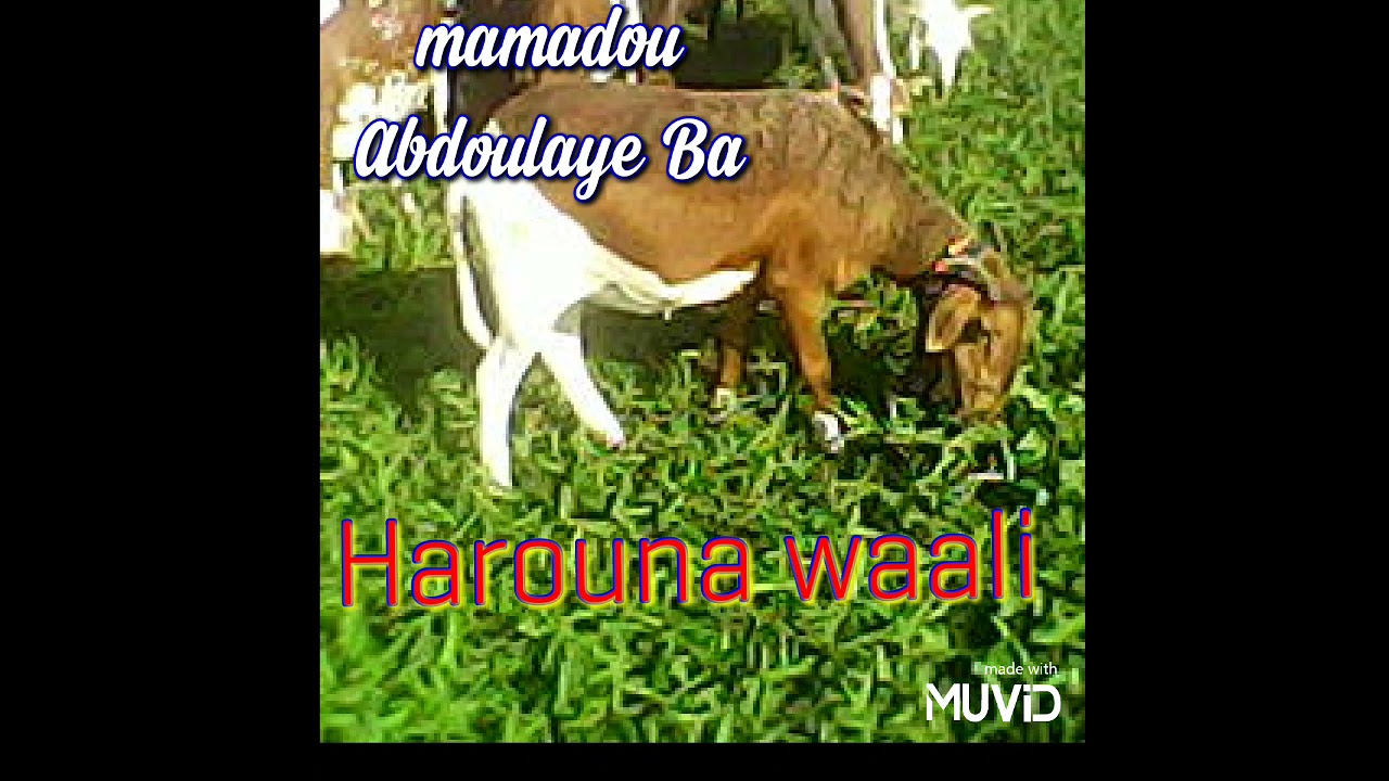 mamadou Abdoulaye Ba_harouna waaly