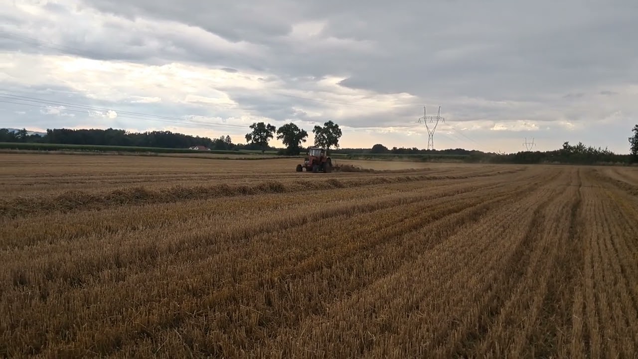 Mtz 52 grabienie słomy 
