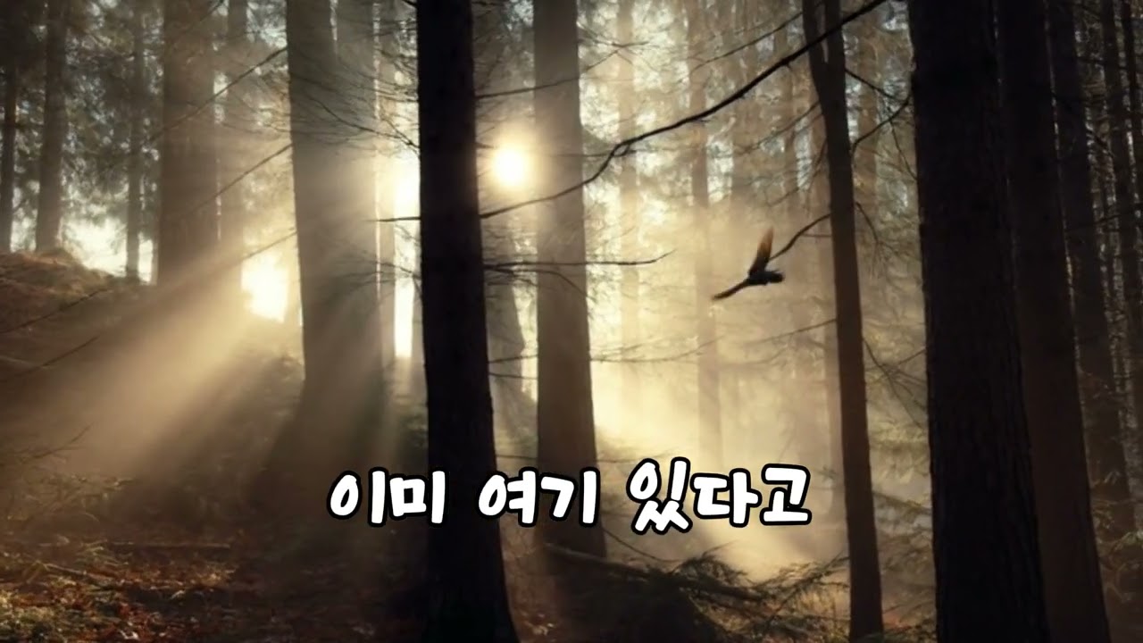 연꽂의 소리 🌸 자연의 소리 🌿 산새가 전하는 법문