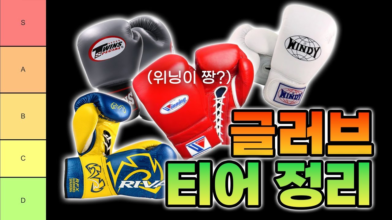 챔피언 5명이서 글러브 티어 정하기 (글러브 뭐살지 모르겠으면 보세요)