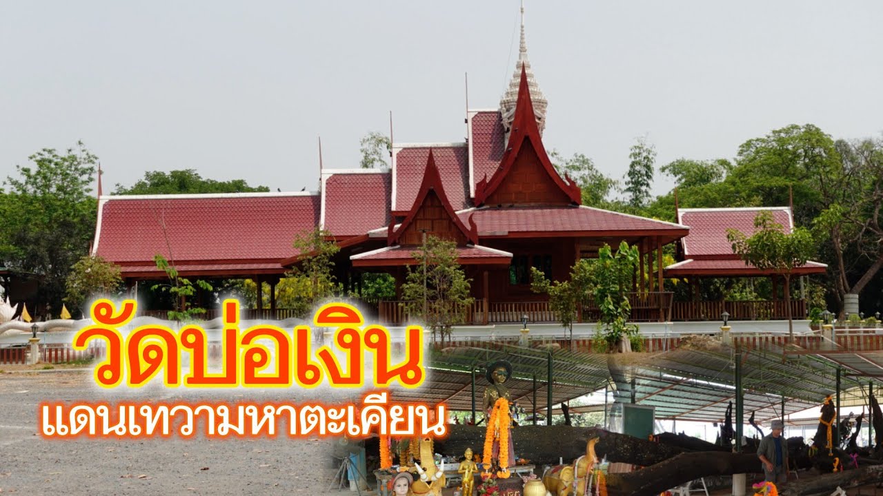 วัดบ่อเงิน ต้นตะเคียนมงคลกว่าสามสิบต้นในพื้นที่วัด เทวดานางไม้ผู้ให้โชคลาภที่ ปทุมธานี