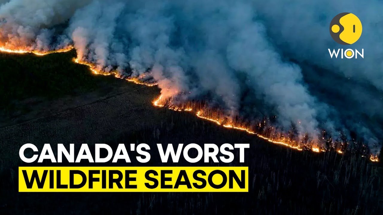 CANADA WILDFIRE: Canada is experiencing its worst wildfire season on record l WION ORIGINALS