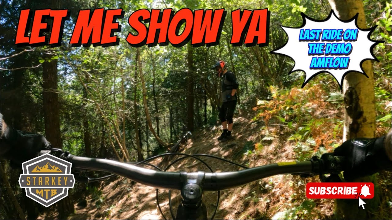 Last blast before it goes back #mtb #emtb #amflow #offpiste #fypシ 