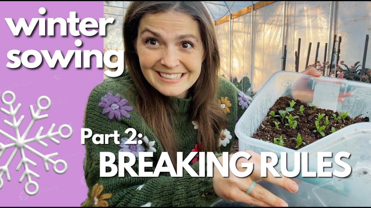 Useful variations of winter sowing | Part 2 - Modifications and hacks to try