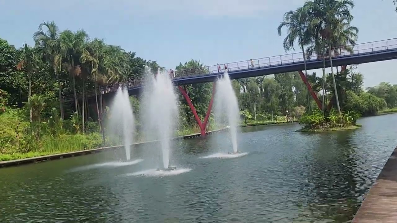 Tranquil stroll at Dragonfly Lake 🏞🚶|| Gardens By The Bay, Singapore
