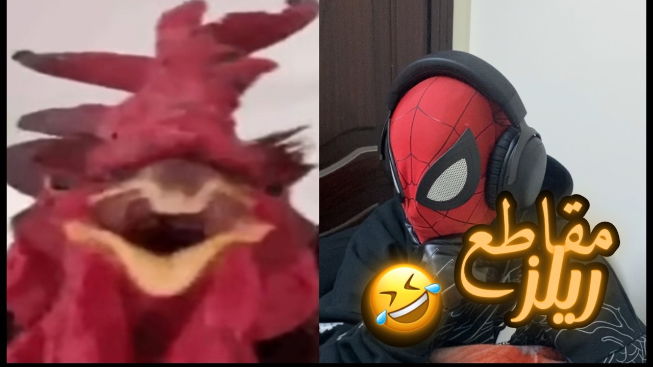 ريلز الانستا