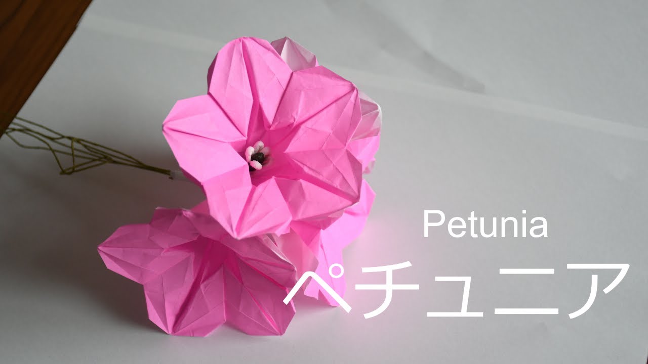 【折り紙】ペチュニア｜Peatunia【Origami】