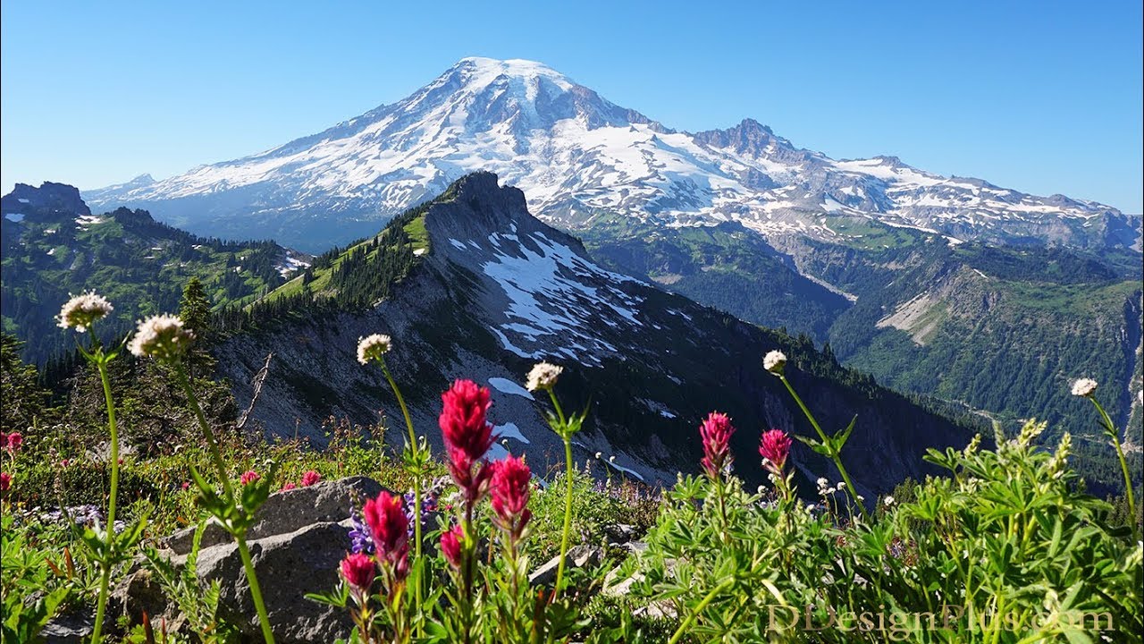 Mt Rainier - the Tatoosh Range from the Castle to Unicorn Glacier