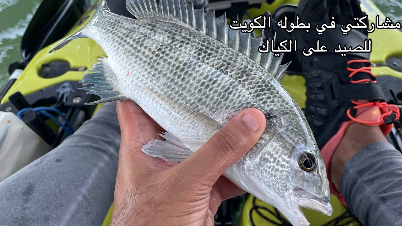بطولة الكويت الأولى للصيد على الكياك  مشاركتي برعاية 9ayid