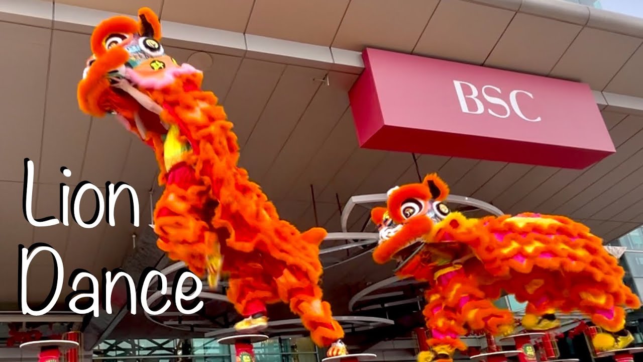 Up close with a super acrobatic lion dance!