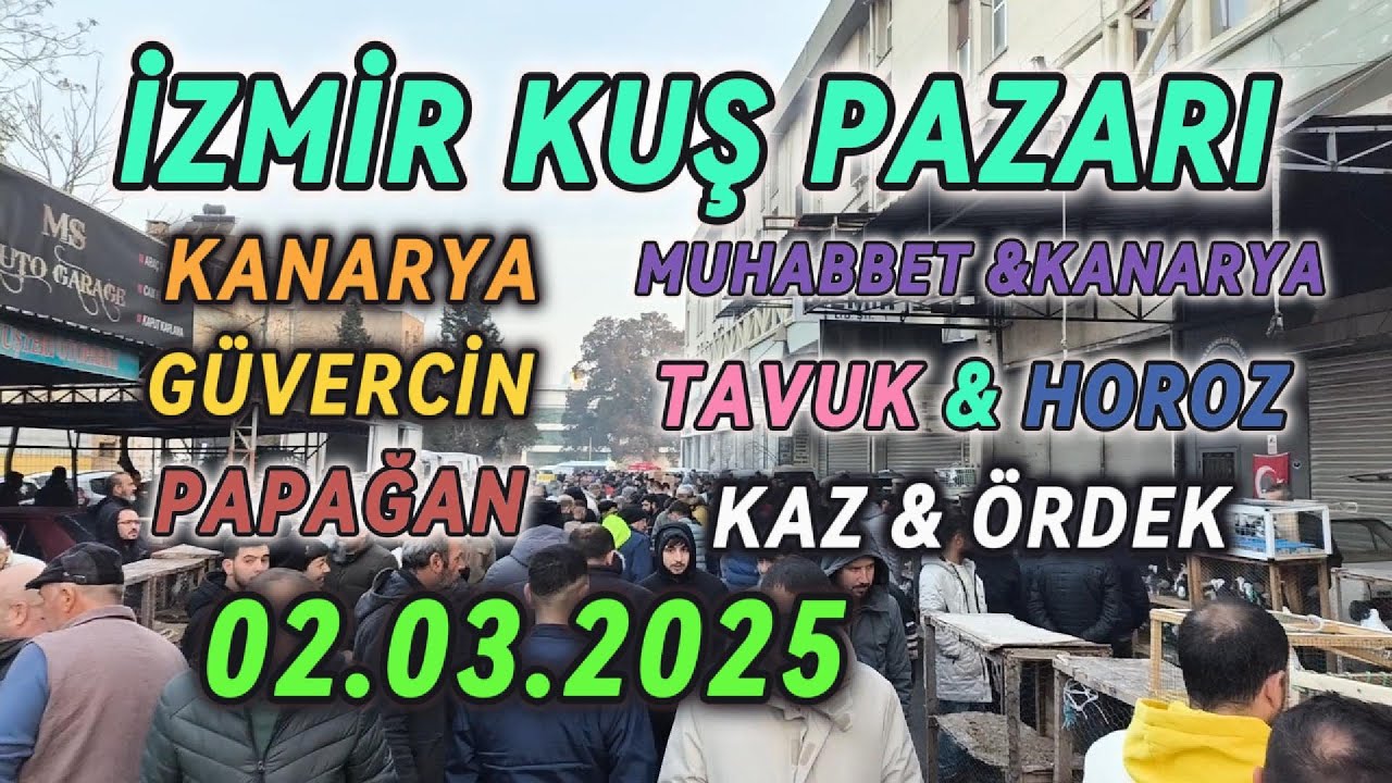 İZMİR KUŞ PAZARI'NDA RENKLİ KEŞİF! #119