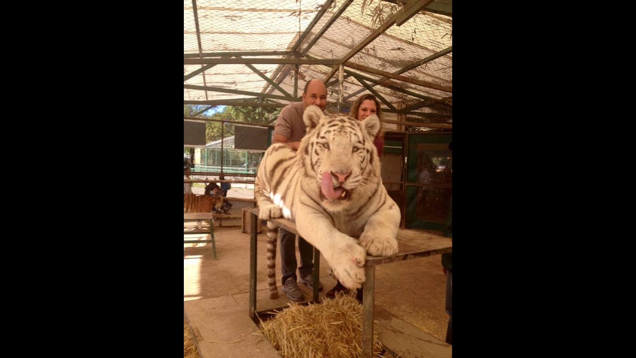 Zoo Lujan - Argentina - GoPro