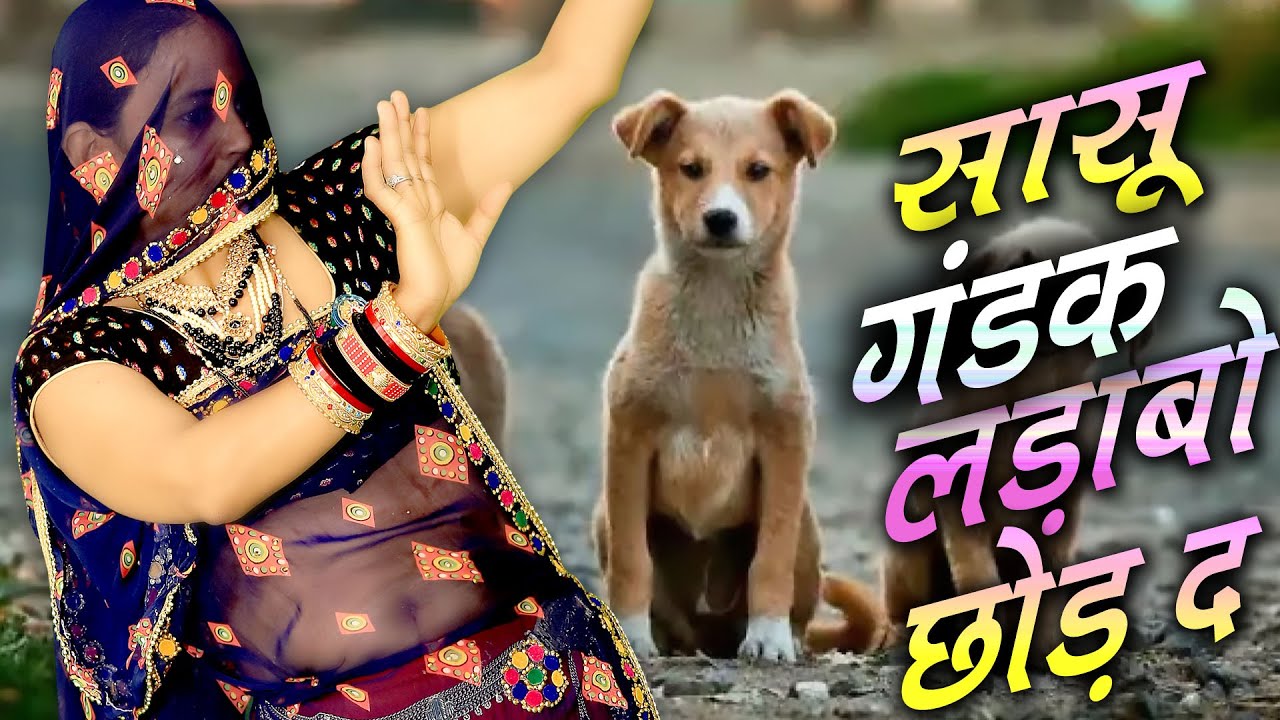 DJ उच्छाटा || सासू गंडक लड़ाबो छोड़ दे #Manraj_Nareshi_New_Geet #trendingvideo #uchchhatageet