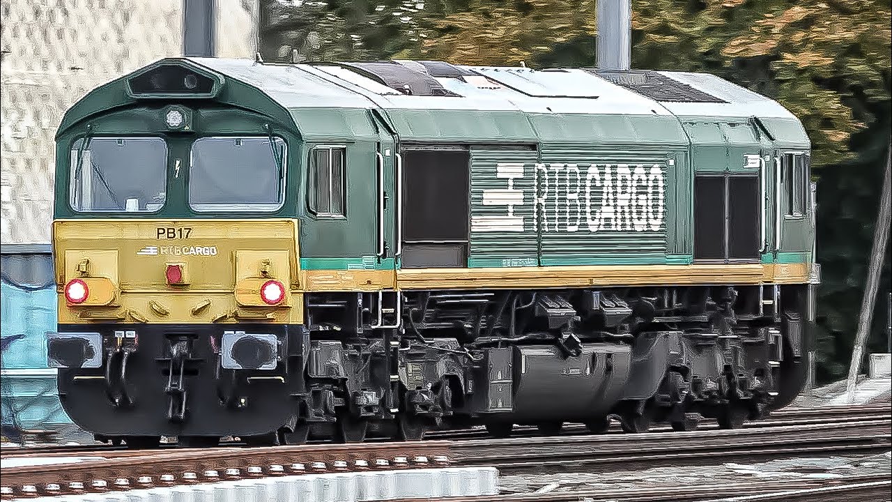 Trains at Gent-Sint-Pieters Station (4K) 14-11-2024
