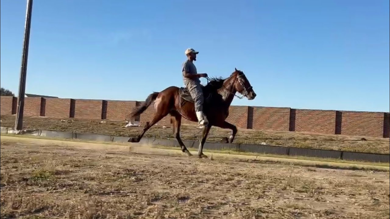 GAIT Transformation Video (“Crypto” - CTWM pt.3️⃣) Rosharon, Tx