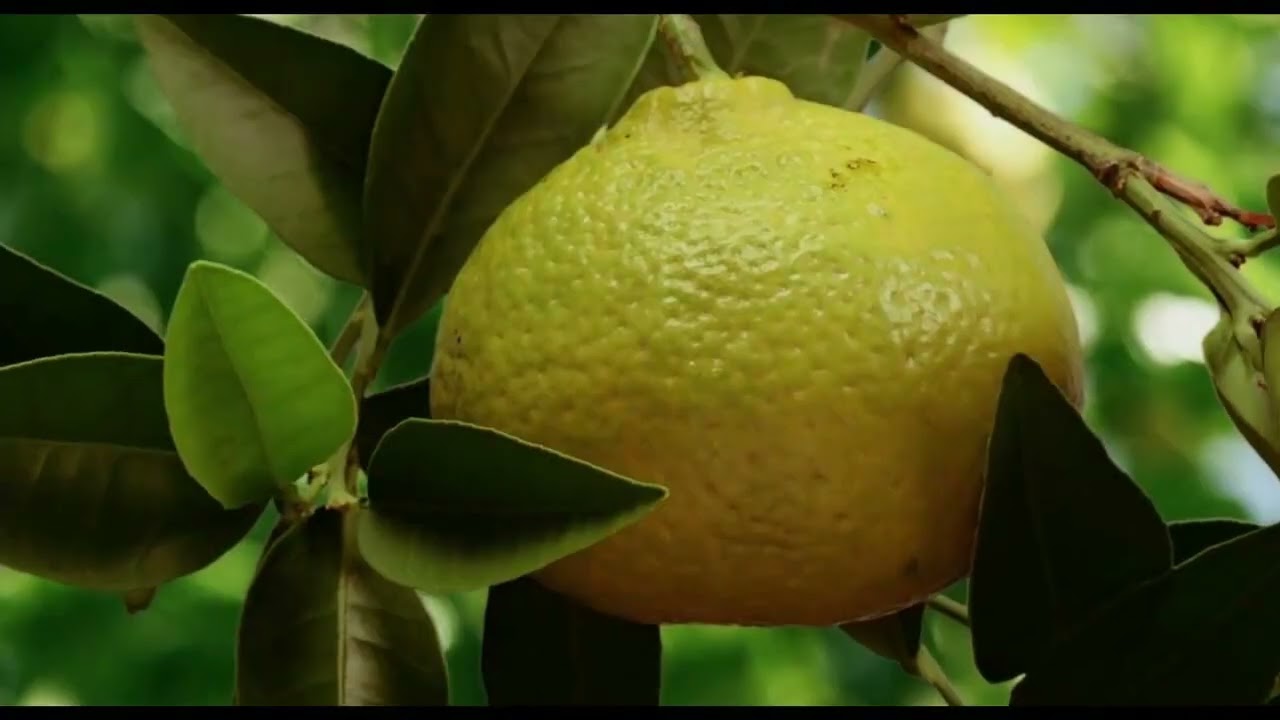 Produire une vidéo éducative et réaliser un montage vidéo