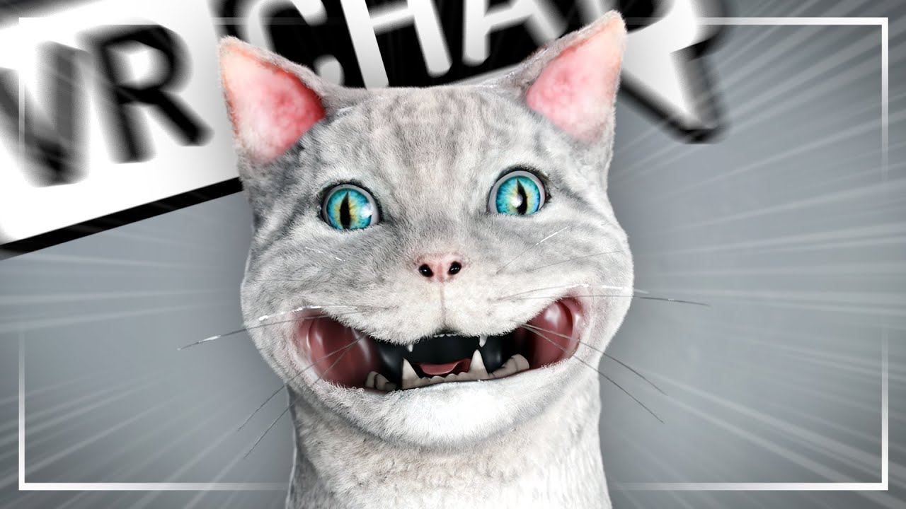СМЕЮЩИЙСЯ КОТ 🫵 - VRCHAT Смешные моменты