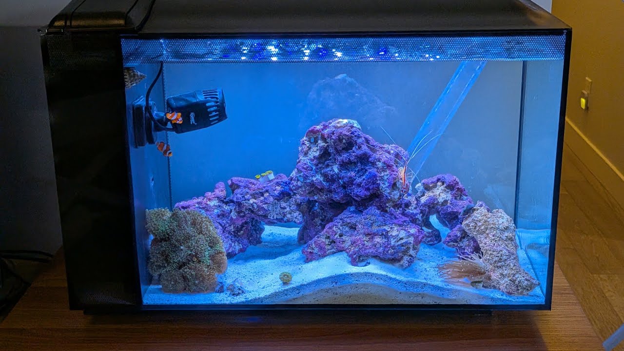 Noob Floods Flooring During Fluval Salt Water Aquarium Water Change 