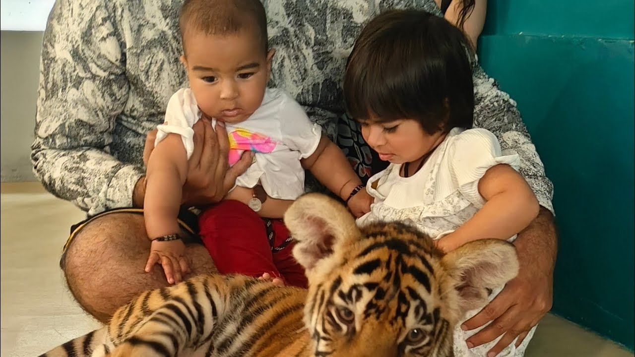 Tiger Park fun With Ashmika Full tour 