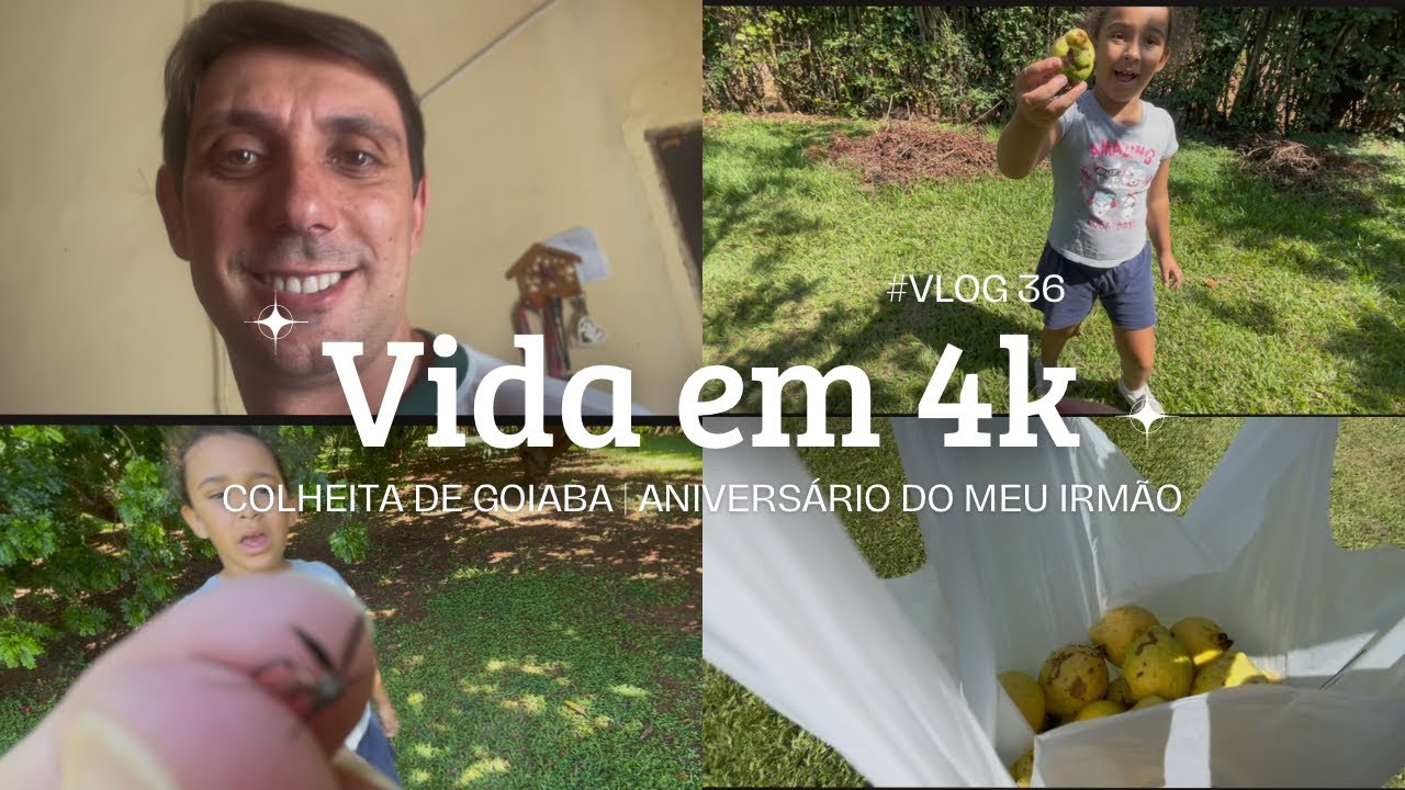 COLHEITA DE GOIABA | ANIVERSÁRIO DO MEU IRMÃO 