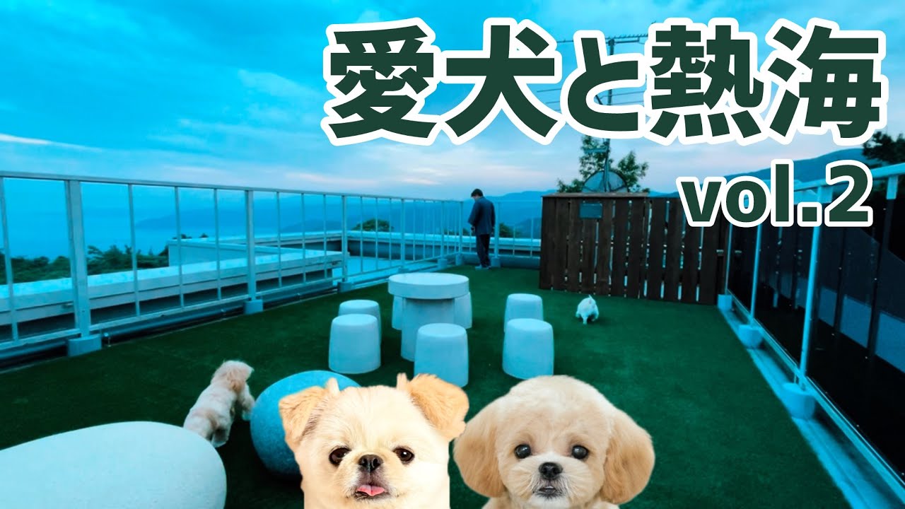 愛犬と熱海②ゆるり熱海 with DOGSでのんびり過ごすチャロ家