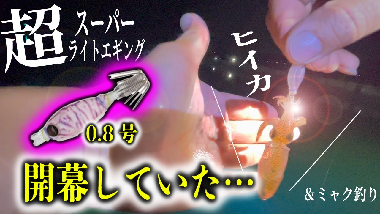 ［ヒイカ］もう開幕していたことを知ってました⁉︎ ※三河湾