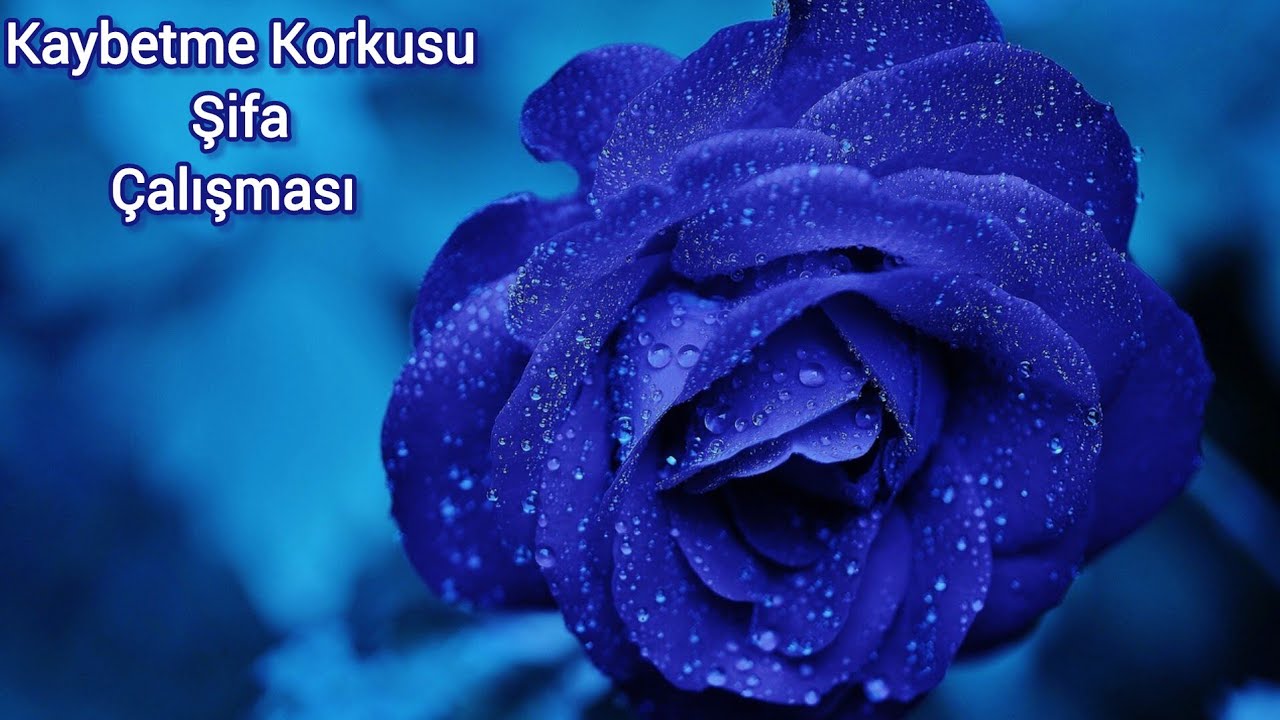 KAYBETME KORKUSU💚ŞİFA ÇALIŞMASI💚#tarot #aboneol #şifaçalışması #thetahealing  #bilinçaltı #korku