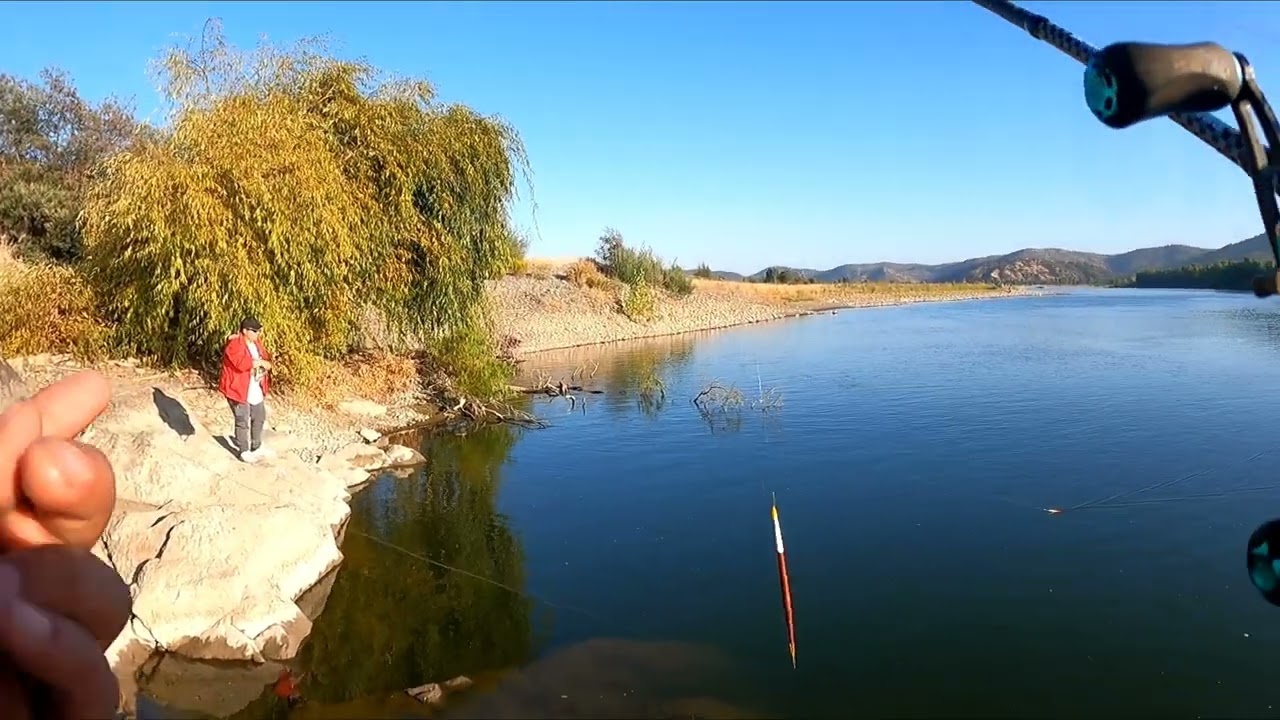 Pesca de pejerrelles y bagres rio loncomilla 2025