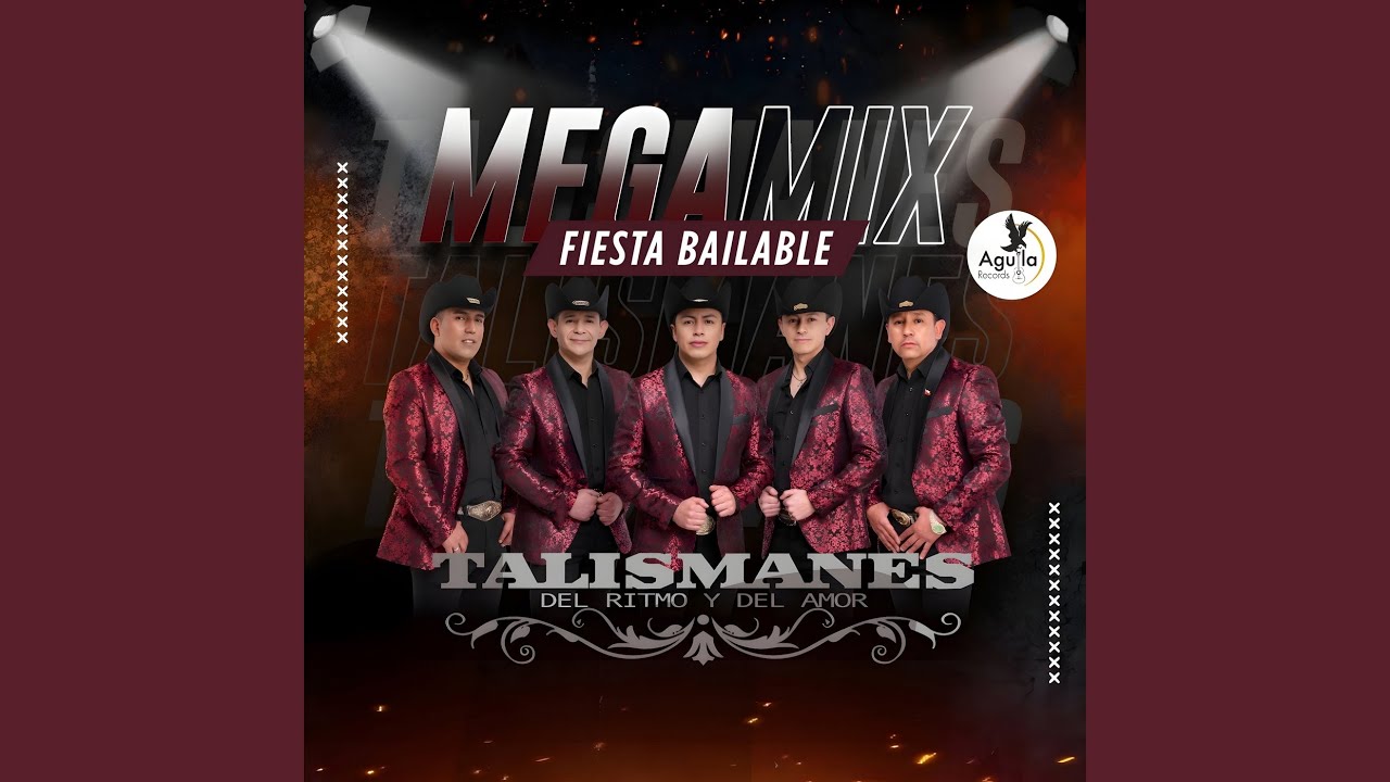 MEGAMIX FIESTA BAILABLE