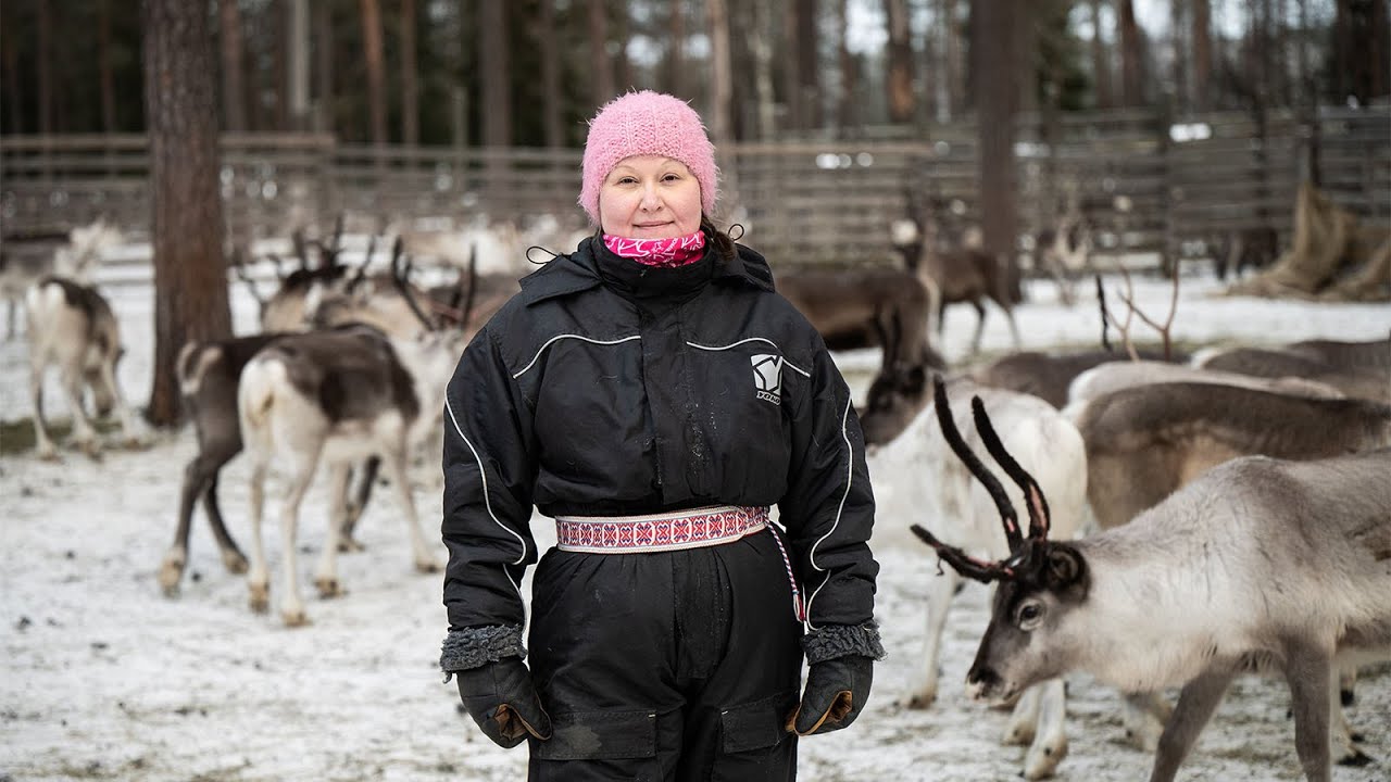 Millaista on porotilallisen arki, Poromies-lehden päätoimittaja Anne Ollila?