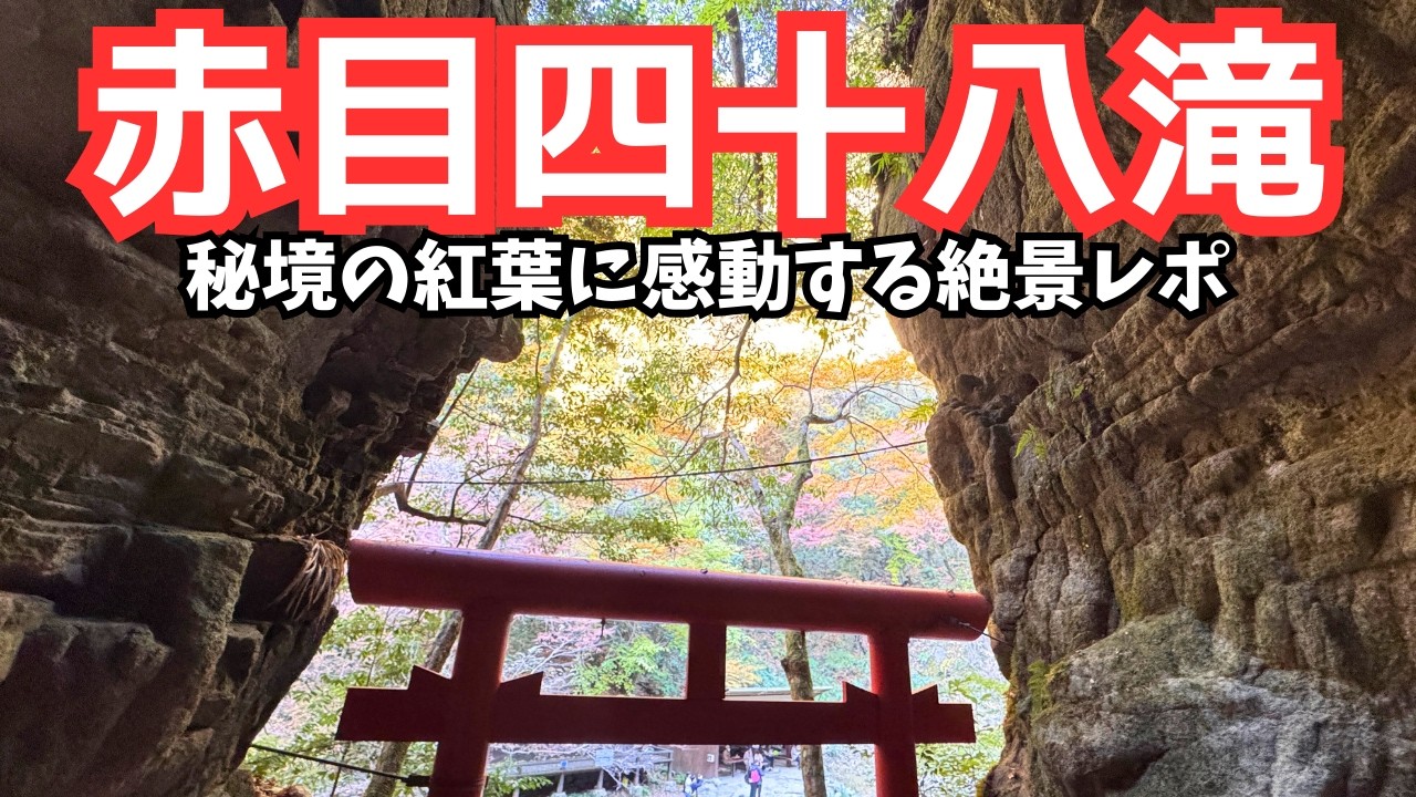 【秘境紅葉2025】赤目四十八滝｜紅葉の滝とオオサイチョウが可愛すぎた