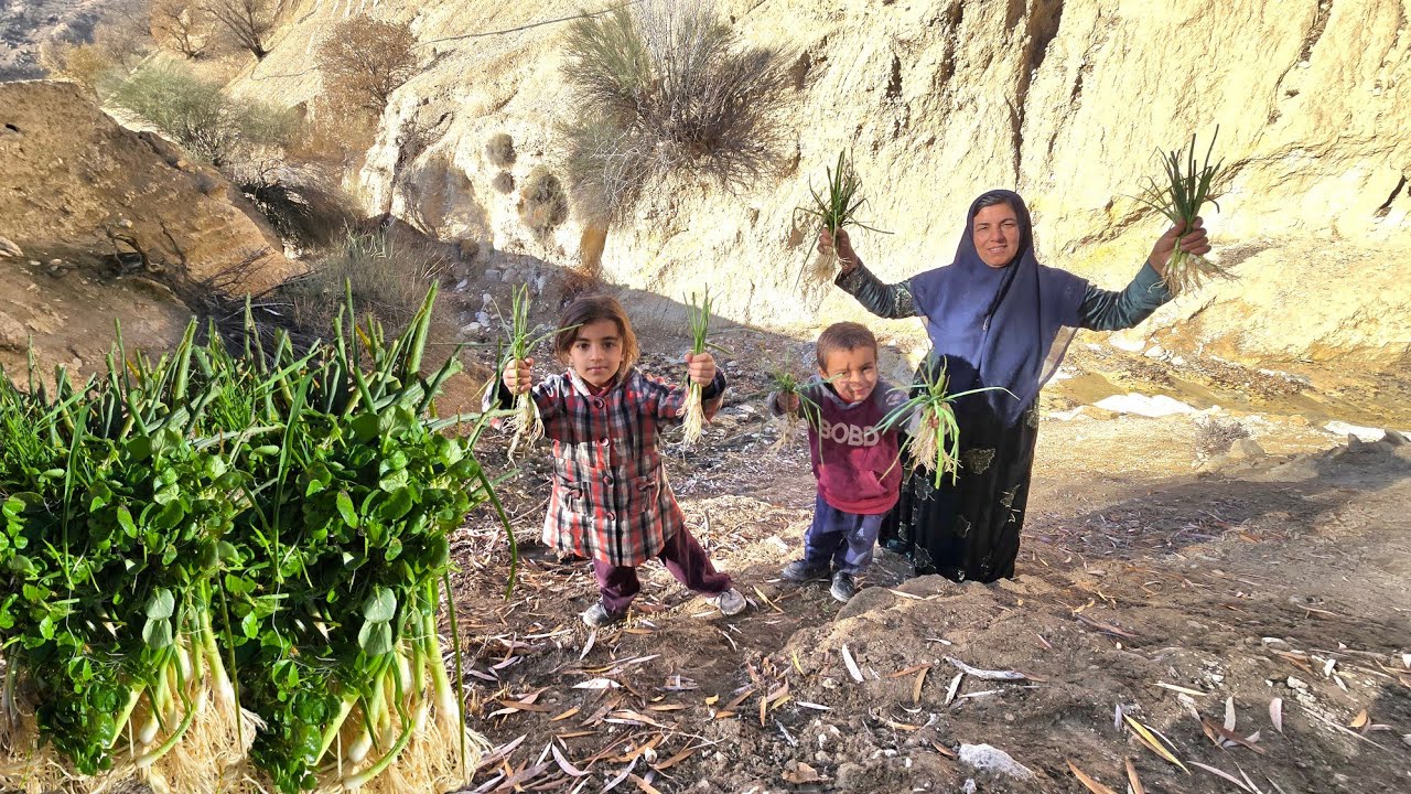 Exciting Journey of Esmat to Gather Mountain Herbs 🌿🏔️