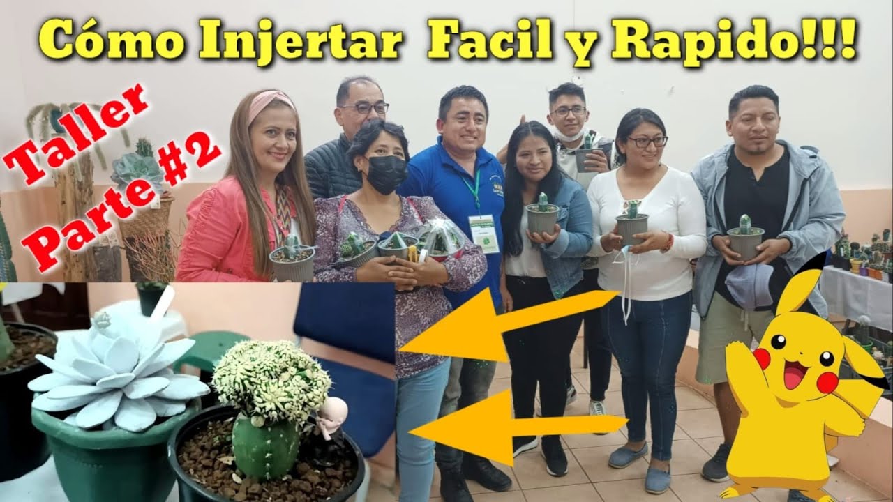 Cómo INJERTAR suculentas y cactus 🌵Fácil y Rápido 🌺TALLER👉 Parte #2
