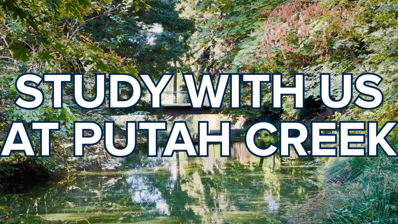 Peaceful Studying Music | 2 Hour Timer | Ambient Lo-Fi Music | Focus | Study/Relax | Working | No AI