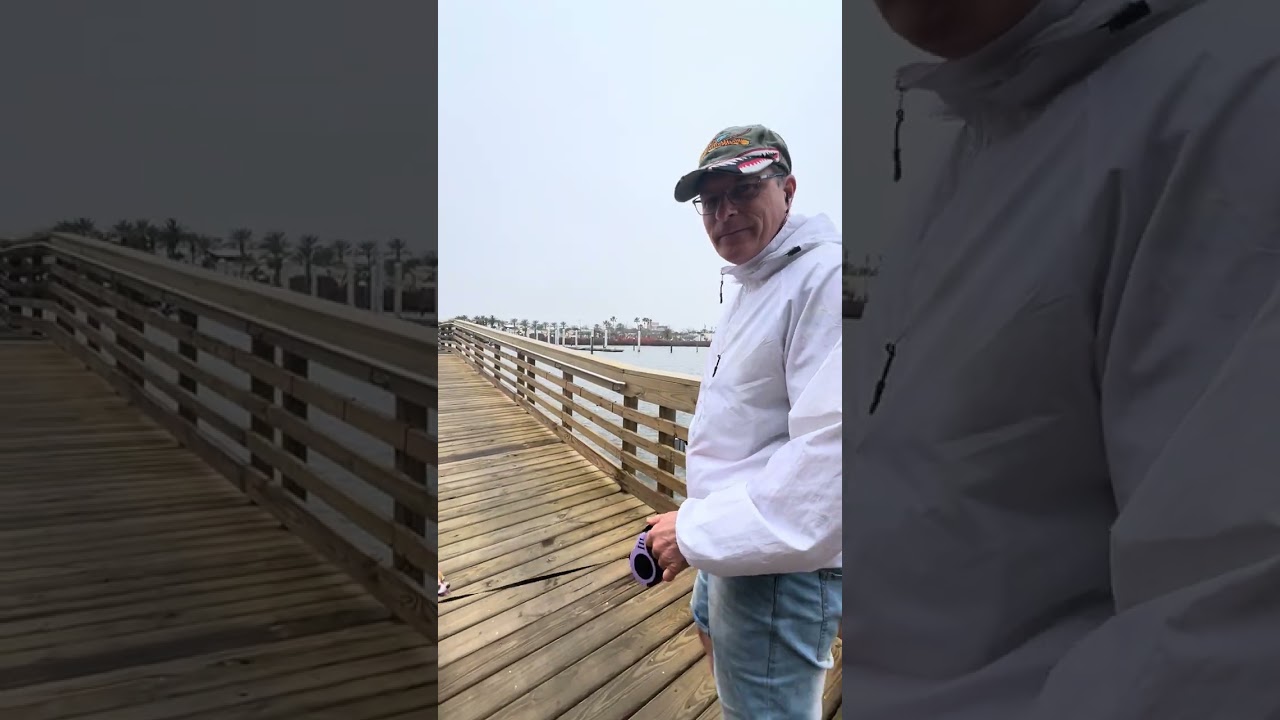 Happy #papillon #vet #fy #goviral  #chrisdog #daytonabeach #walking #youtubeshort #riverfrontpark 