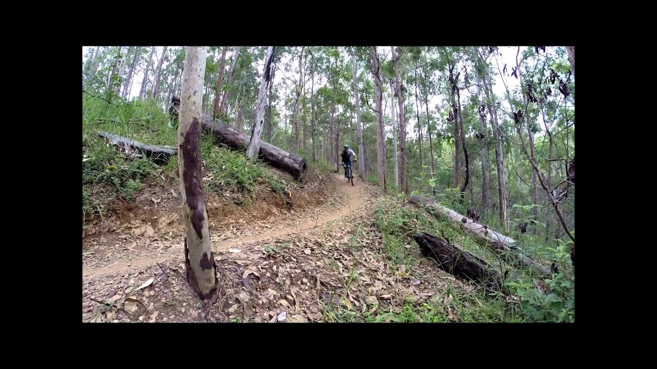 ForTheRiders / Giant Anthem Advanced SX 27.5 Review