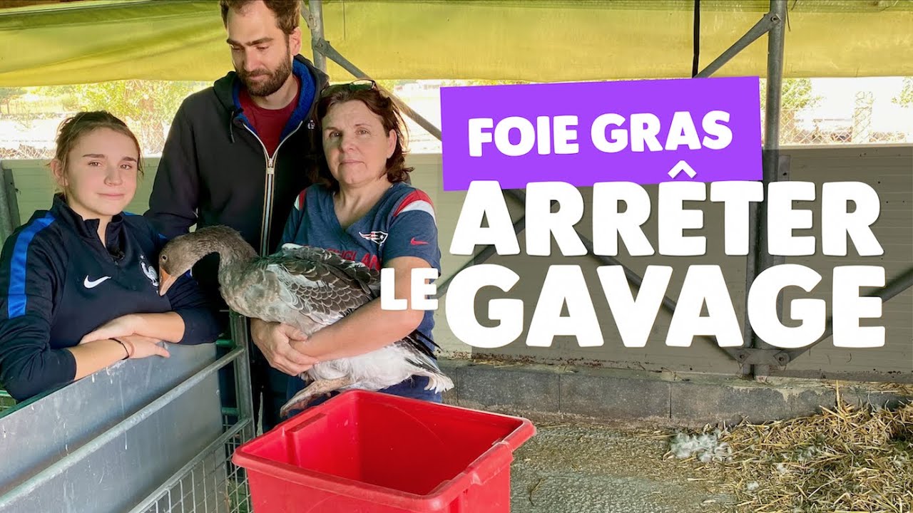 Foie gras : le choix du sans gavage
