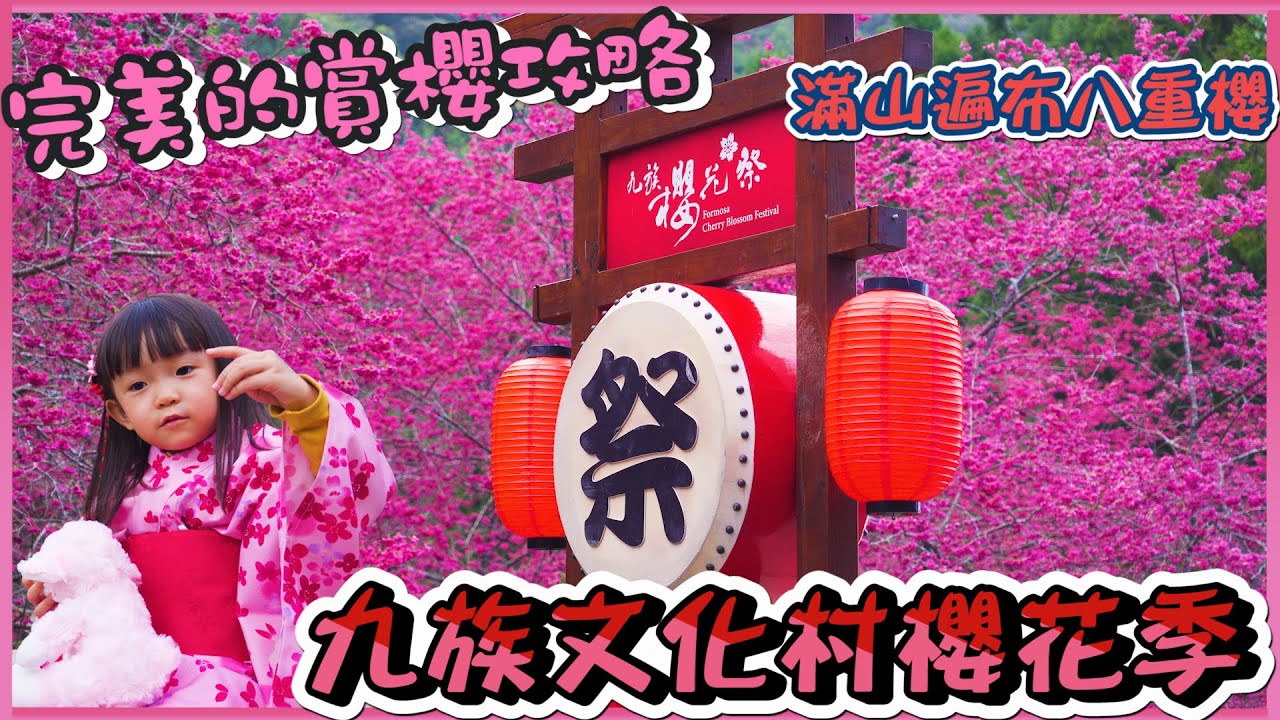 2022 九族文化村櫻花季 I 教你最輕鬆快速的完美賞櫻全攻略 I 九族文化村夜櫻必拍景點 I 2月下旬富士櫻及吉野櫻即將滿開
