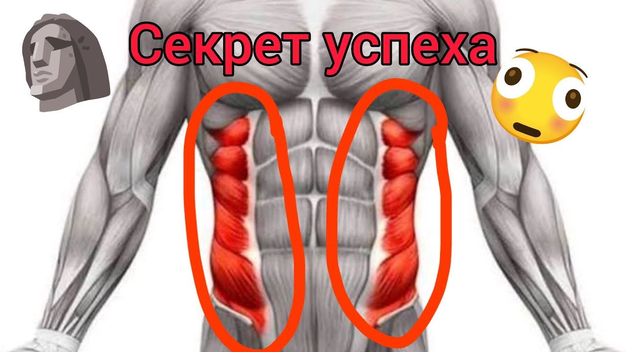 Тринировка на косые мышцы пресса!